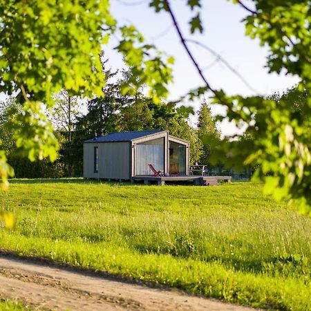 Pilwa 17 - Domek Exteriör bild